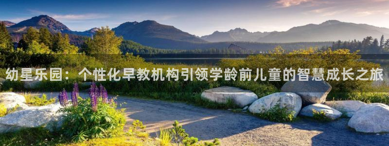 天顺娱乐腾讯分分彩:幼星乐园:个性化早教机构引领学龄前儿童的智慧成长之旅