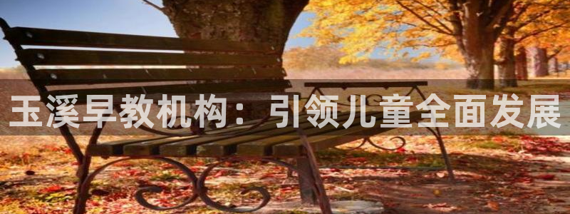 天顺娱乐q33300:玉溪早教机构:引领儿童全面发展