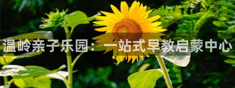 天顺娱乐开户条件:温岭亲子乐园:一站式早教启蒙中心