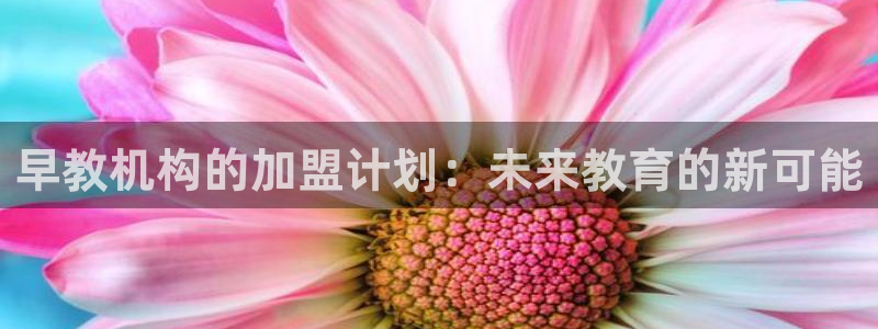 天顺娱乐负责人心须pg22650:早教机构的加盟计划:未来教育的新可能