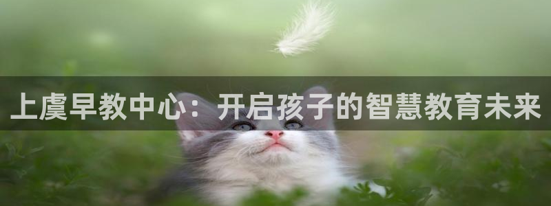 天顺娱乐累履判p29999：上虞早教中心：开启孩子的智慧教育未来