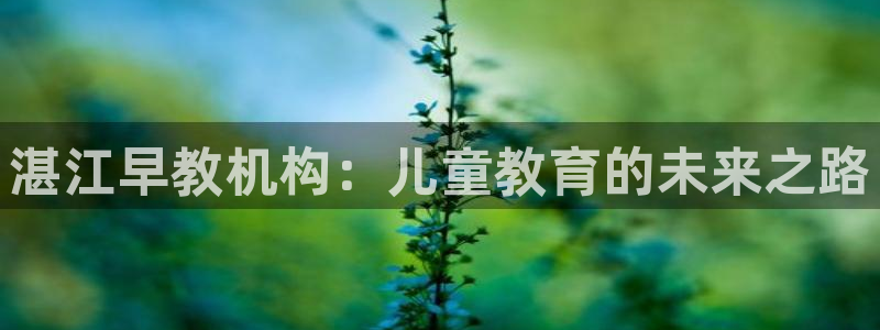 天顺娱乐注册网址是多少:湛江早教机构:儿童教育的未来之路