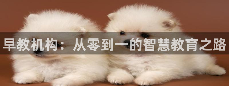 天顺娱乐官方:早教机构:从零到一的智慧教育之路