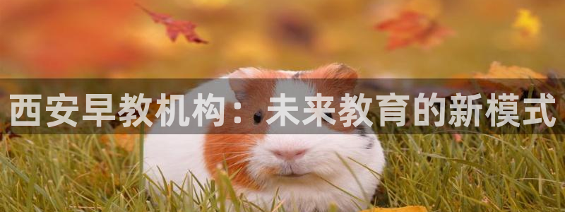 天顺娱乐木78778卧:西安早教机构:未来教育的新模式