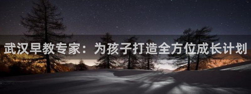 天顺娱乐负责人爫先p29999:武汉早教专家:为孩子打造全方位成长计划