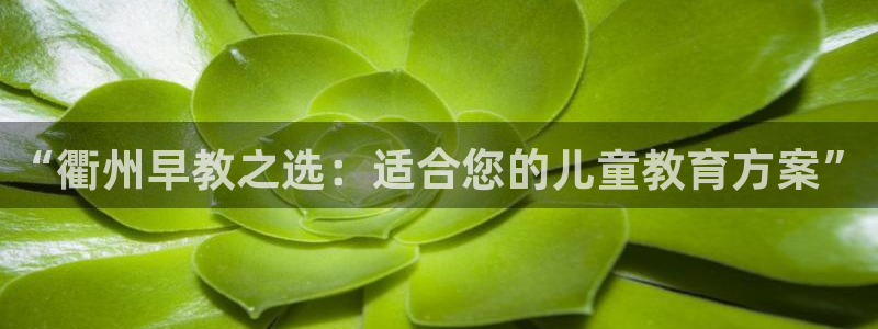 天顺娱乐认为 wx678 com:“衢州早教之选:适合您的儿童教育方案”