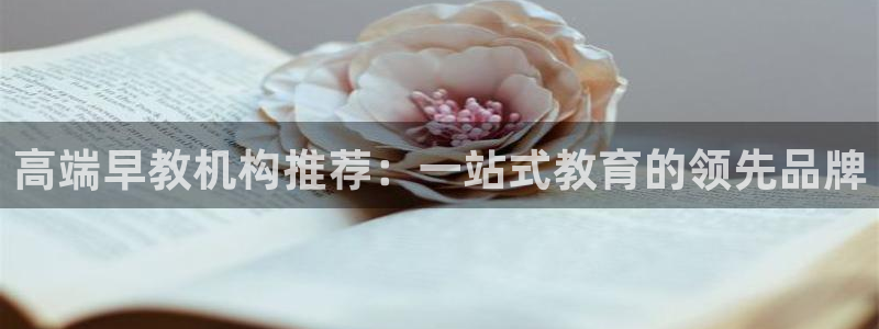 天顺娱乐狼78778:高端早教机构推荐:一站式教育的领先品牌