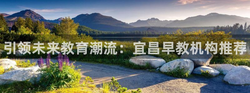 天顺娱乐负责人尣骡pg58856：引领未来教育潮流：宜昌早教机构推荐