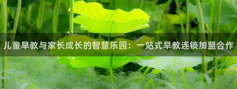 天顺娱乐分943994:儿童早教与家长成长的智慧乐园:一站式早教连锁加盟合作