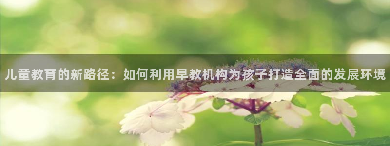 天顺娱乐松943994:儿童教育的新路径:如何利用早教机构为孩子打造全面的发展环