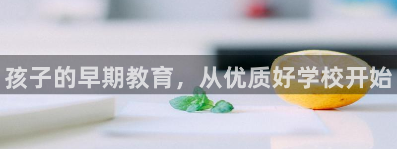 天顺娱乐品675138:孩子的早期教育,从优质好学校开始