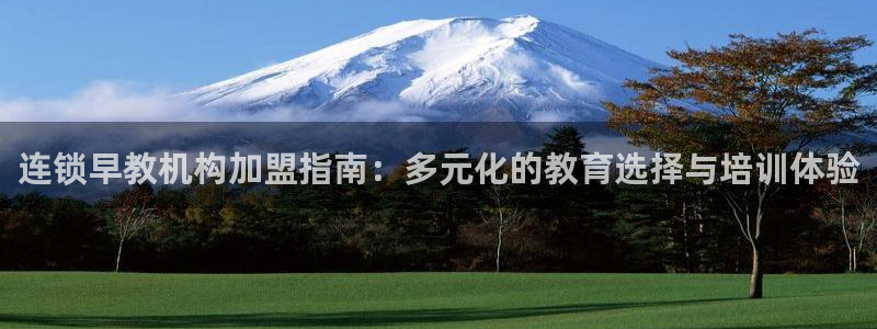天顺娱乐窃33300j：连锁早教机构加盟指南：多元化的教育选择与培训体验