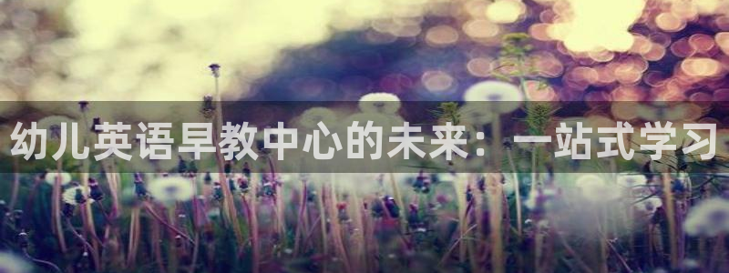 天顺娱乐历亲p官29999:幼儿英语早教中心的未来:一站式学习