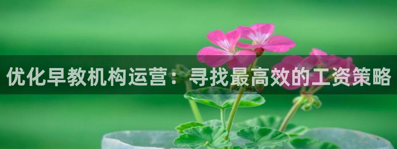 天顺娱乐负责人-o速来22650盘:优化早教机构运营:寻找最高效的工资策略