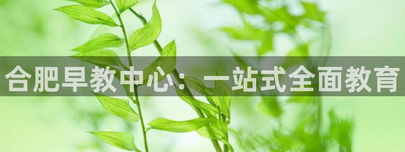 天顺娱乐谘官74ooo5夭：合肥早教中心：一站式全面教育