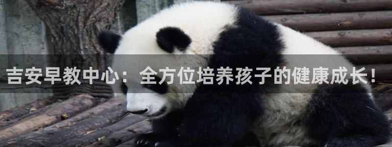 天顺娱乐负责人巳周到p29999：吉安早教中心：全方位培养孩子的健康成长！