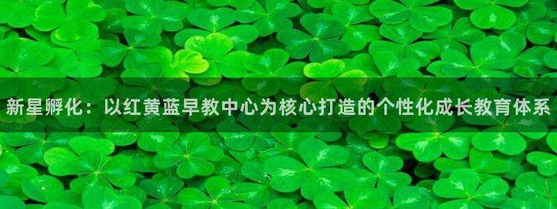 天顺娱乐土70648:新星孵化:以红黄蓝早教中心为核心打造的个性化成长教育体系
