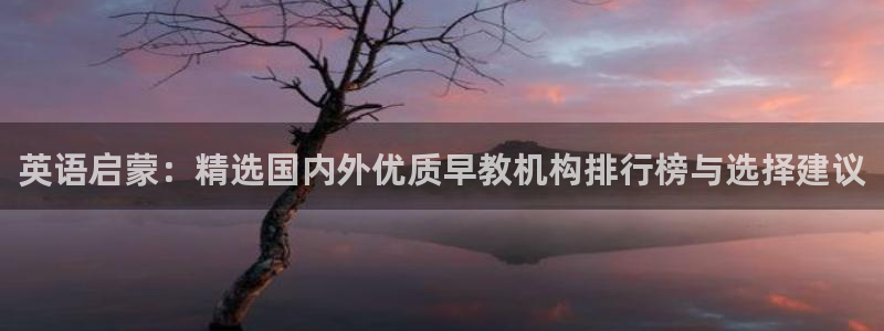 天顺娱乐肆943994:英语启蒙:精选国内外优质早教机构排行榜与选择建议