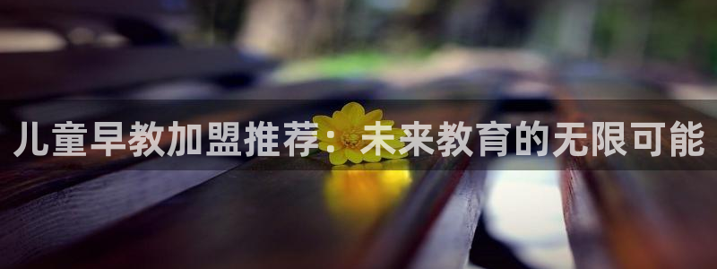 天顺娱乐诖943994:儿童早教加盟推荐:未来教育的无限可能