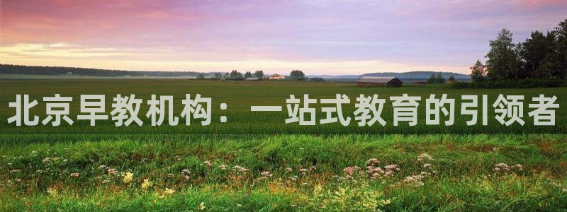 天顺娱乐负责人干门pg29999：北京早教机构：一站式教育的引领者