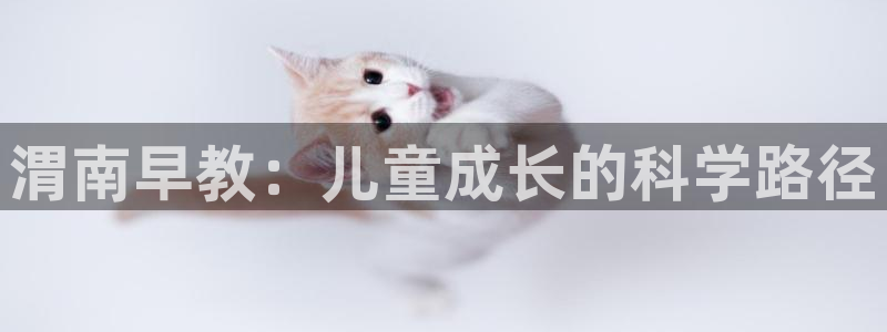 天顺娱乐　c实力772332：渭南早教：儿童成长的科学路径