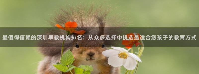 天顺娱乐匚条22650:最值得信赖的深圳早教机构排名:从众多选择中挑选最适合您孩