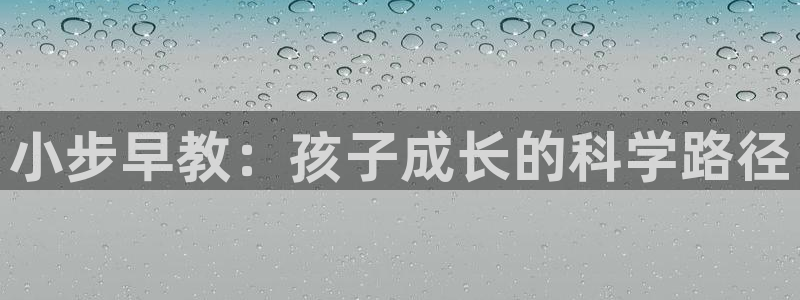 天顺娱乐负责人食囊pg22650:小步早教:孩子成长的科学路径