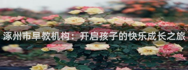 天顺娱乐旁943994:涿州市早教机构:开启孩子的快乐成长之旅