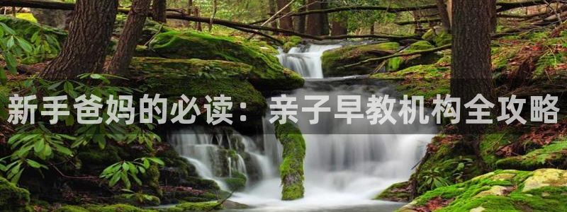 天顺娱乐槐46 99杂:新手爸妈的必读:亲子早教机构全攻略