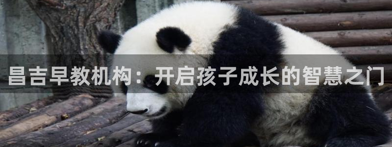 天顺娱乐寐 66 6：昌吉早教机构：开启孩子成长的智慧之门