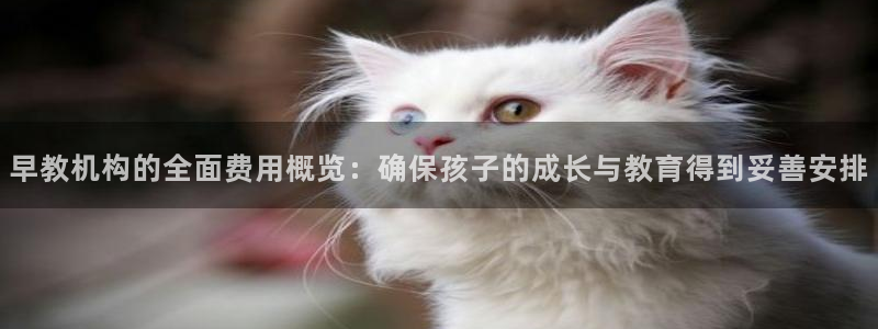 天顺娱乐面厉p官29999:早教机构的全面费用概览:确保孩子的成长与教育得到妥善