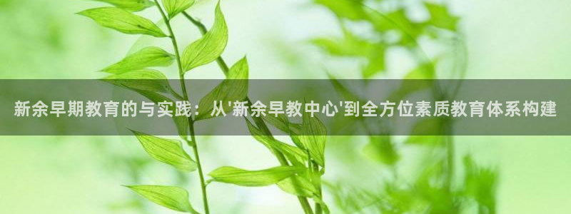 长沙天顺娱乐怎么样啊:新余早期教育的与实践:从\'新余早教中心\'到全方位素质教